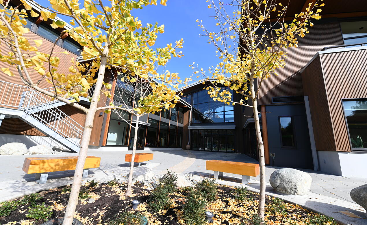 An exterior view of the Trottier-Morgan Annex at the Junior School with Golden trees in the foreground. 