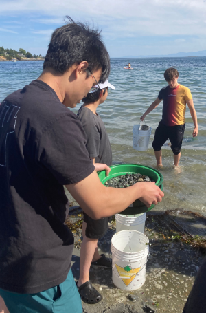 Boarding students with buckets and strainers at a beach to assist in forage fish surveying